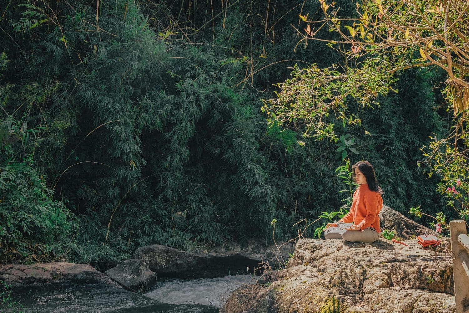 Mindful Meditation