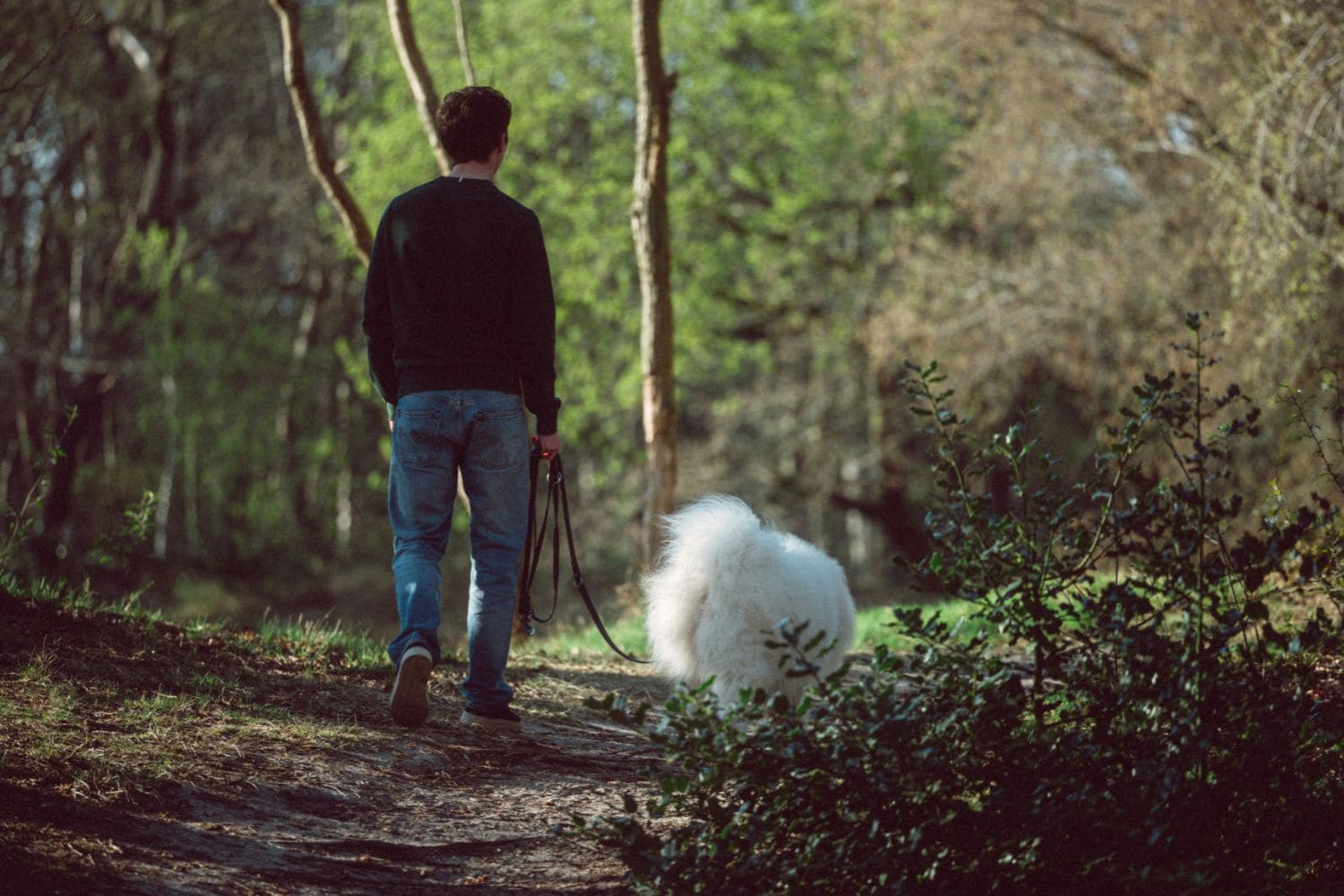 Nature Walks