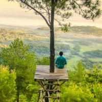 Mental Health Support